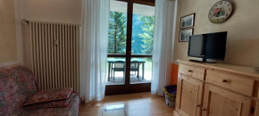 Comfortable 3 room flat with garden, 200 m from slopes
